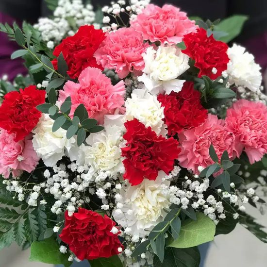 Carnation Seeds - Grenadin Double Mix Dianthus Seeds - Image 3