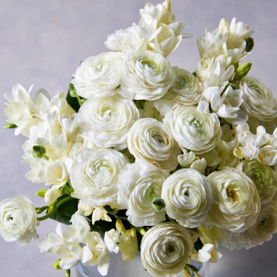 Pastel Mix Ranunculus Seeds - Image 4