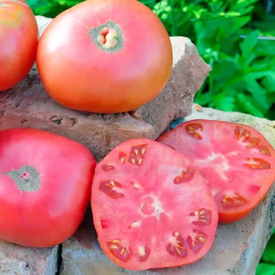 Pink Delicious Tomato Seeds - Image 2