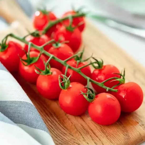 Junior Whopper Red Hybrid Tomato Seeds - Image 2