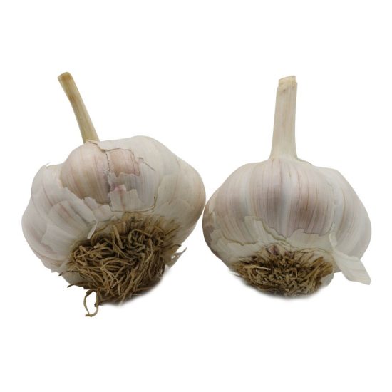 Garlic Nootka Rose Bulbs - Image 2