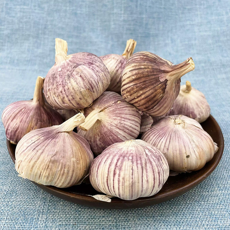 O1CN01L7DWdi1jndxLq3oLg__260204593_jpg_q50_jpg Garlic Musik Organic Bulbs - Image 1