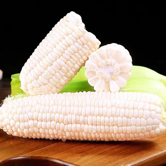 Silver Queen Hybrid Sweet Corn Seeds - Image 2