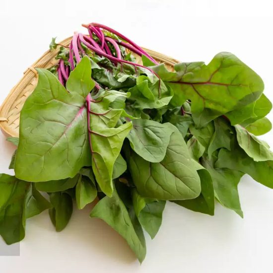 Red Stem Malabar Spinach Seeds - Image 2