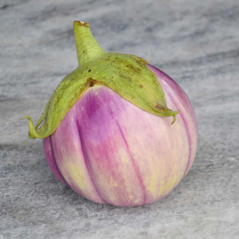 eggplant-rosa-bianca-shk-1 Rosa Bianca Organic Eggplant Seed - Image 1