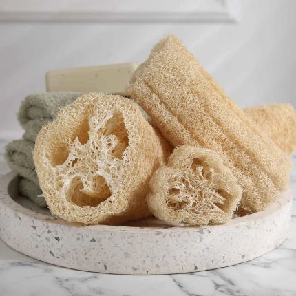 Luffa Gourd Seeds
